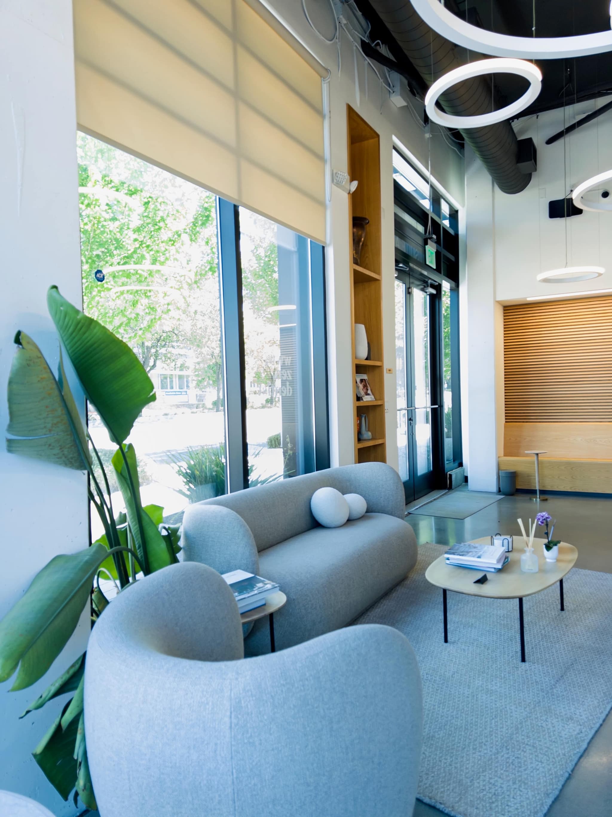 A calm waiting lounge with curved sofas, greenery, and tall daylight windows